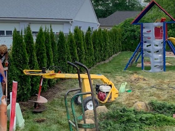 Emerald Green arborvitae installation in Oakland or Macomb County