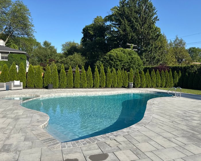 Backyard pool screened for privacy by an arborvitae hedge