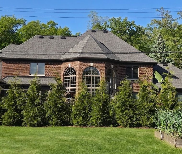 Mature arborvitae privacy screening installation alongside a home